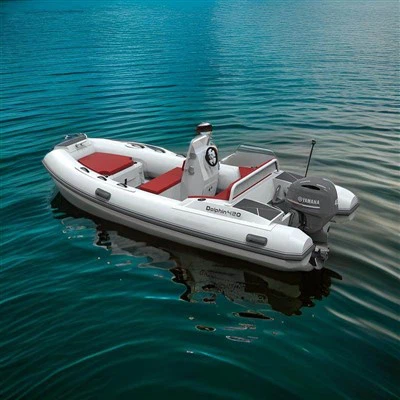 Приступачни бродови ребра